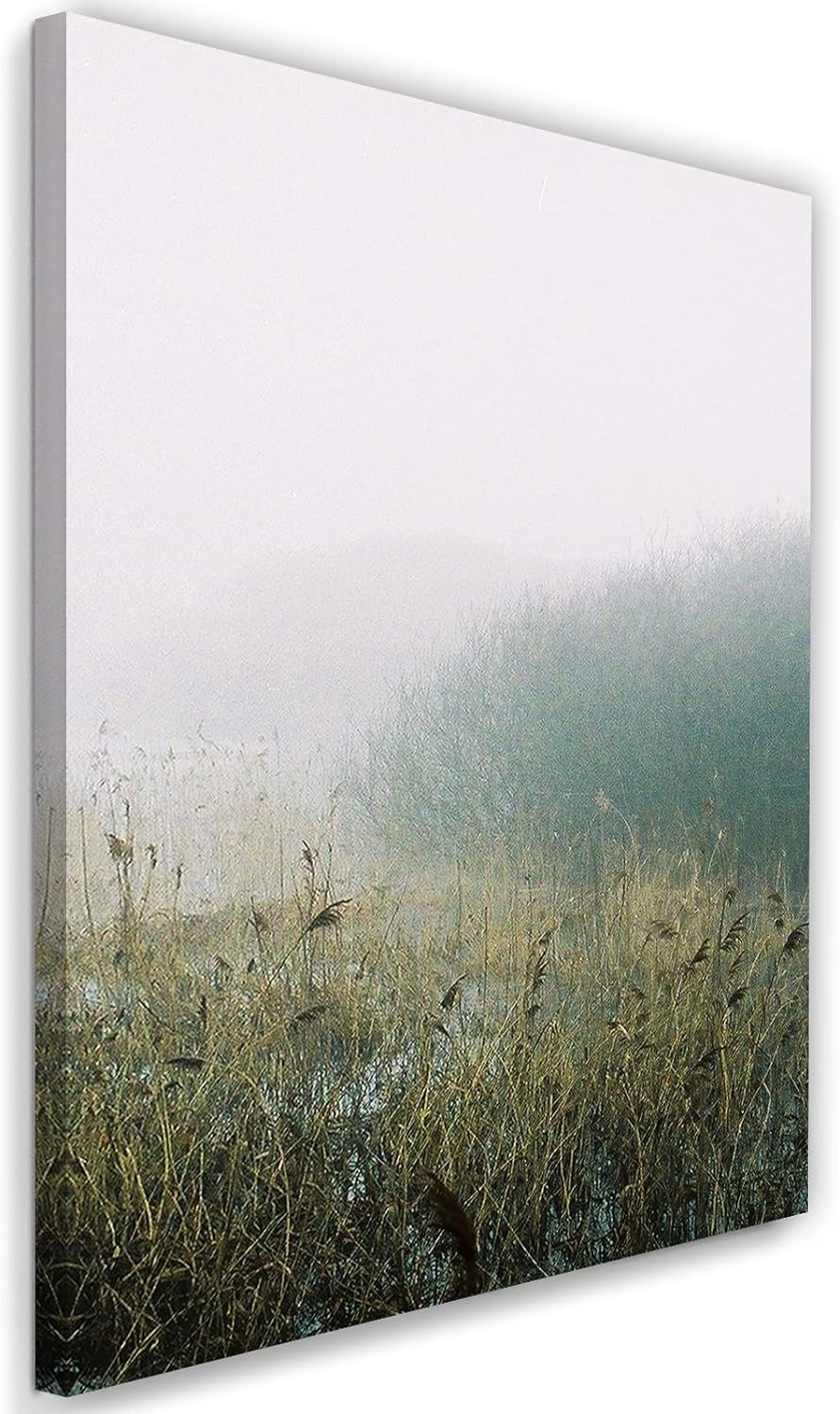 Feeby Wandbilder Wiese Nebel Landschaft XXL 80x120 cm 1Teilig Modern Vlies Bilder Leinwandbilder Bil