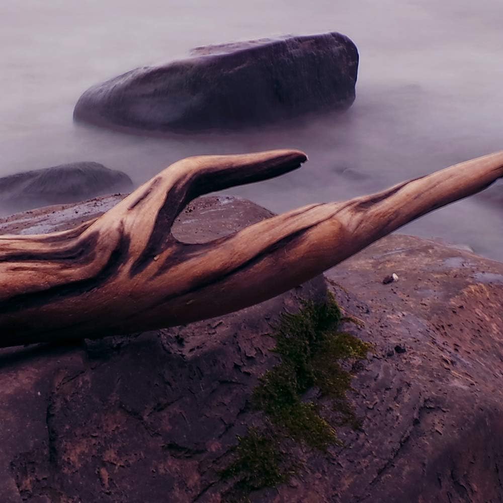 Feeby Bilder Landschaft 300x140 cm - Leinwandbild 5 Teilig XXL Kunstdruck Meer braun Leinwandbild XX