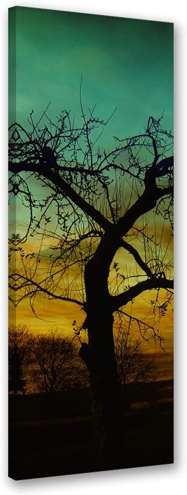 Febby Vlies Leinwandbild XXL Abend 50x150 cm Wandbild Kunst Bilder Schlafzimmer Deko Wohnzimmer Alte