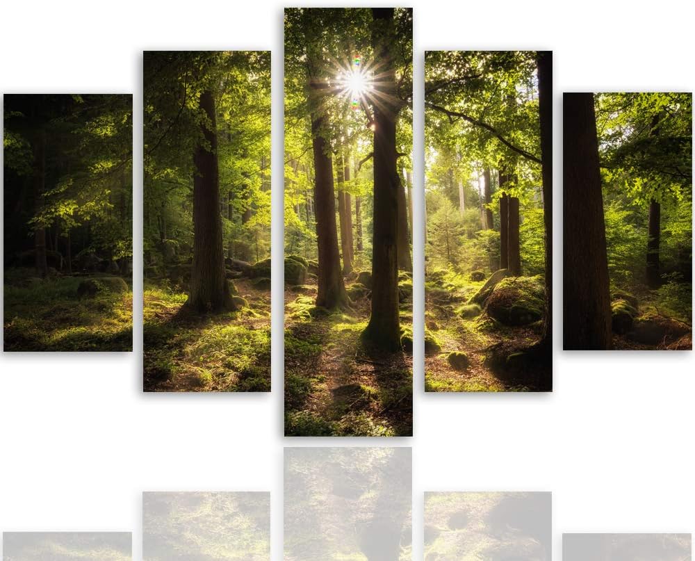 Feeby Bild auf Leinwand Landschaft 5 Teilig Modern Wald Bäume Sonne grün 200x100 cm Leinwandbild 200