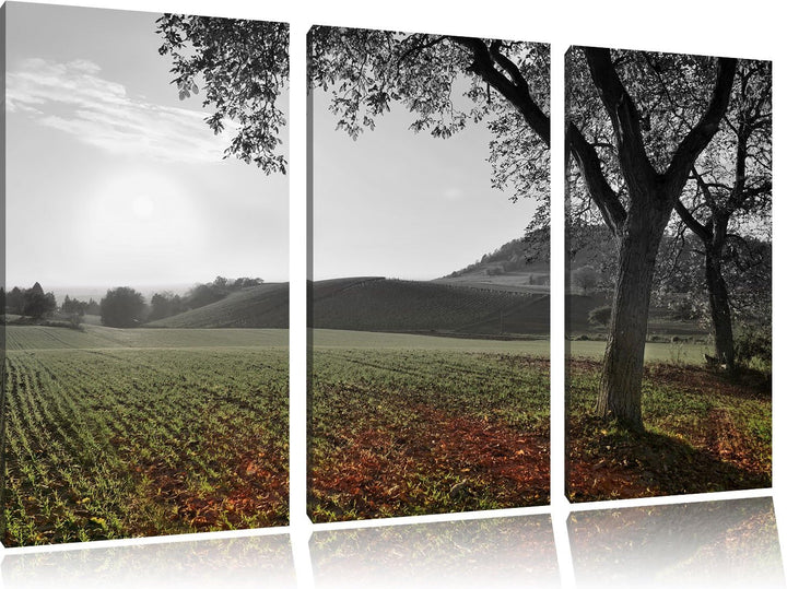 Pixxprint Landschaft im Herbst B&W Detail 3-Teiler Leinwandbild 120x80 Bild auf Leinwand