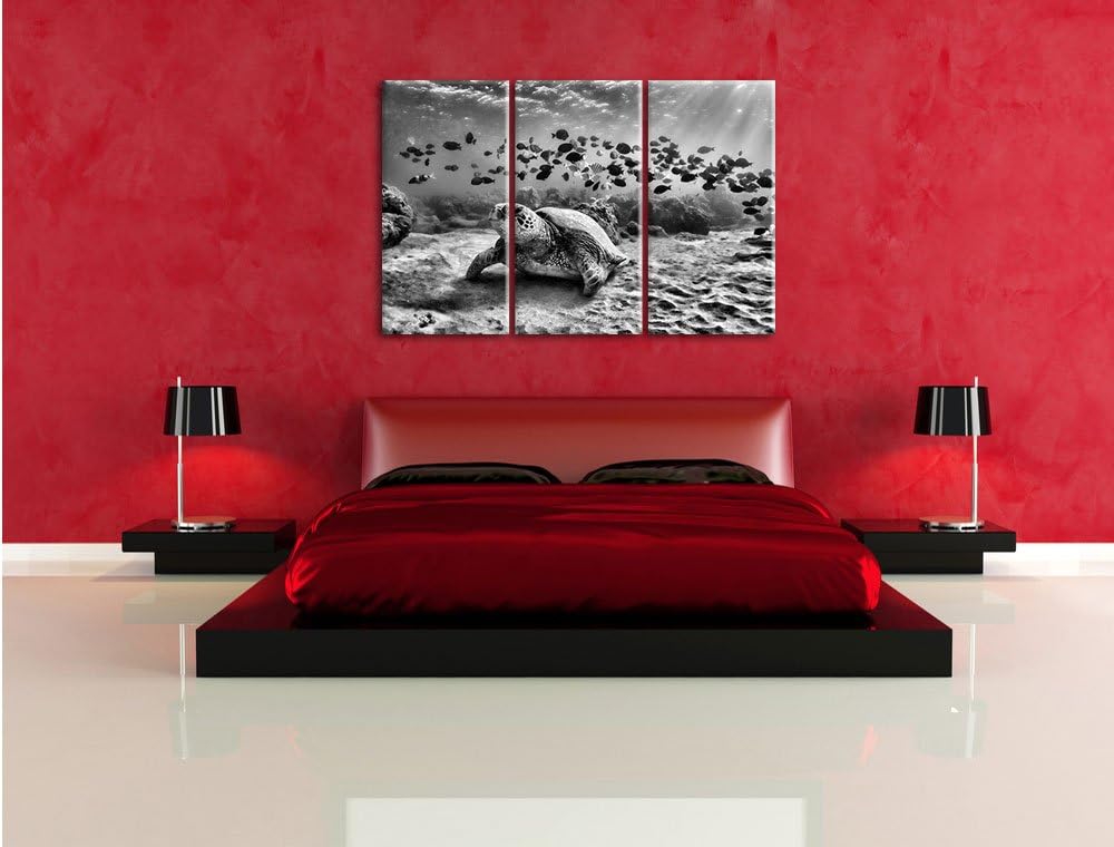 Pixxprint Ninja Turtles / 3-Teilig/Gesamtmass 120cm Leinwandbild bespannt auf Holzrahmen/Wandbild Ku