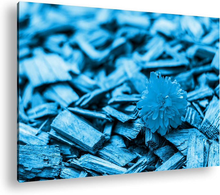 deyoli gelbe Blume auf Holz Format 80x60 Effekt: Monocrome Blau als Leinwandbild, Motiv fertig gerah