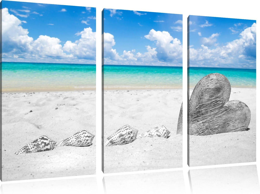 Pixxprint Sandstrand mit Muscheln als Leinwandbild/Grösse: 3 Teilig (120x80) cm/Wandbild/Kunstdruck/