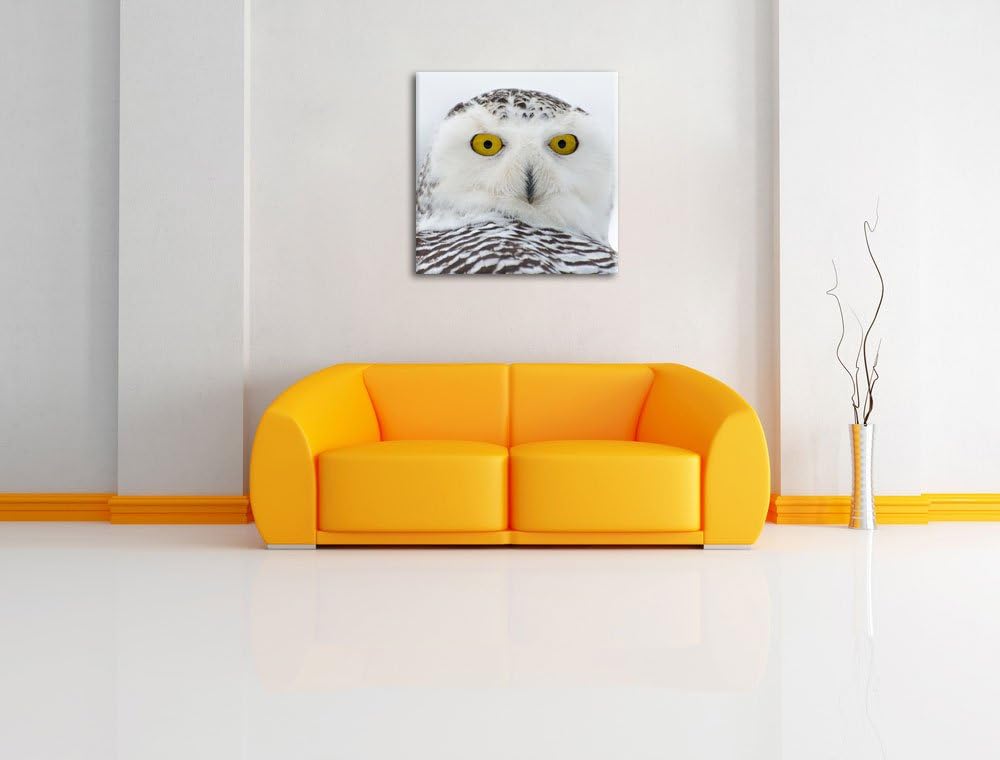 Wachsame Schnee Eule, Format: 70x70 auf Leinwand, XXL riesige Bilder fertig gerahmt mit Keilrahmen,