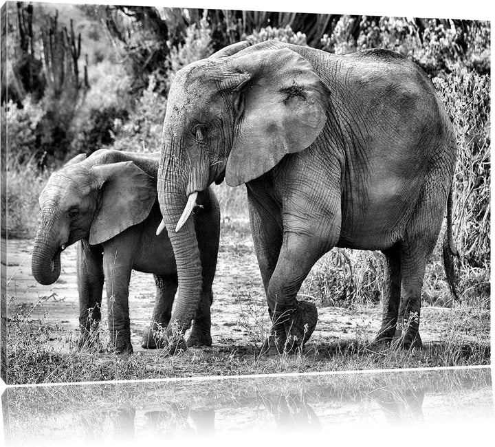 Pixxprint Elefantenkuh neben Jungtier / 100x70cm Leinwandbild bespannt auf Holzrahmen/Wandbild Kunst