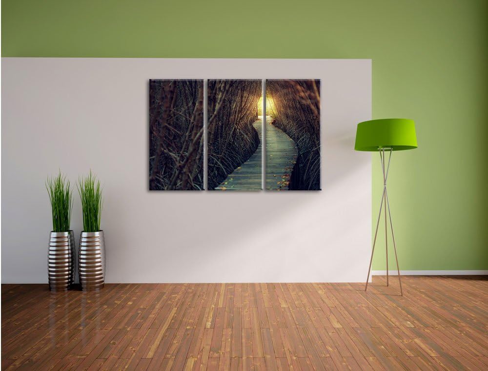Pixxprint Gehweg im Wald / 3-Teilig/Gesamtmass 120cm Leinwandbild bespannt auf Holzrahmen/Wandbild K