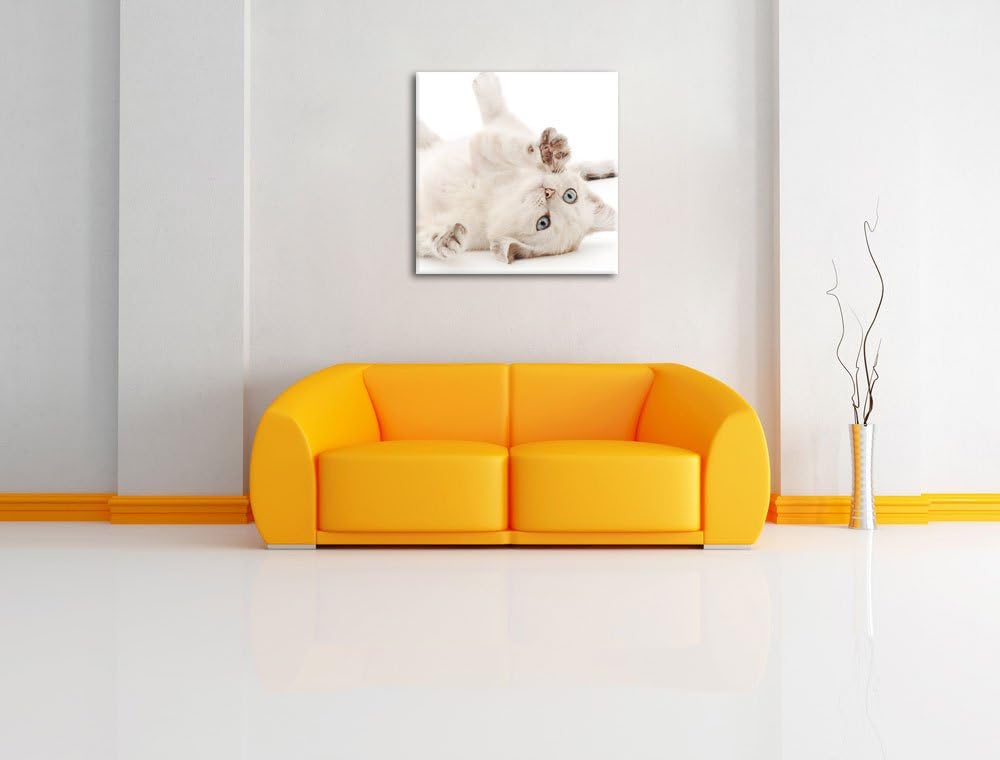 Pixxprint Kleine Katze, Format: 70x70 auf Leinwand, XXL riesige Bilder fertig gerahmt mit Keilrahmen