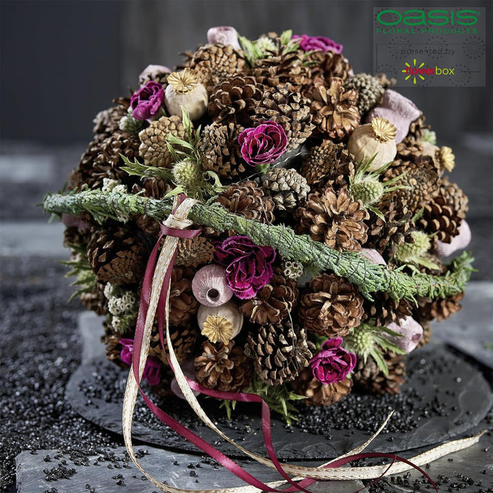 Flowerbox Oasis Steckschaum IDEAL Kugel Ø30cm Steckmasse Steckschwamm