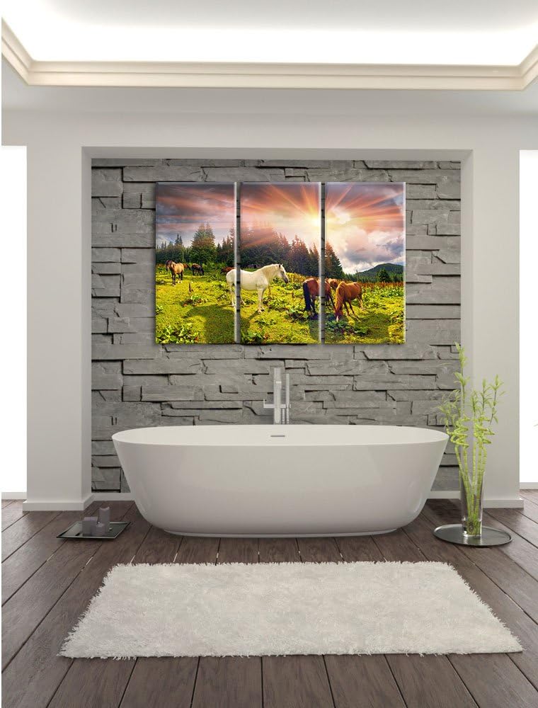 Pixxprint Carpathian Mustangs Pferde auf den Bergen 3-Teiler Leinwandbild 120x80 Bild auf Leinwand