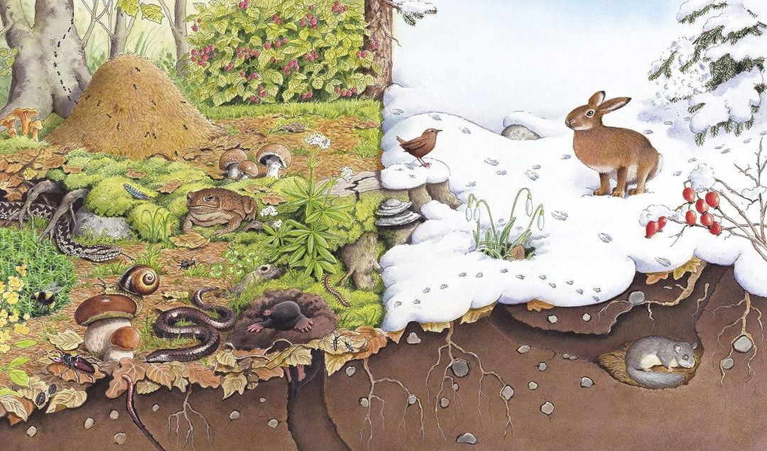 Ravensburger - Ich erkunde den Wald