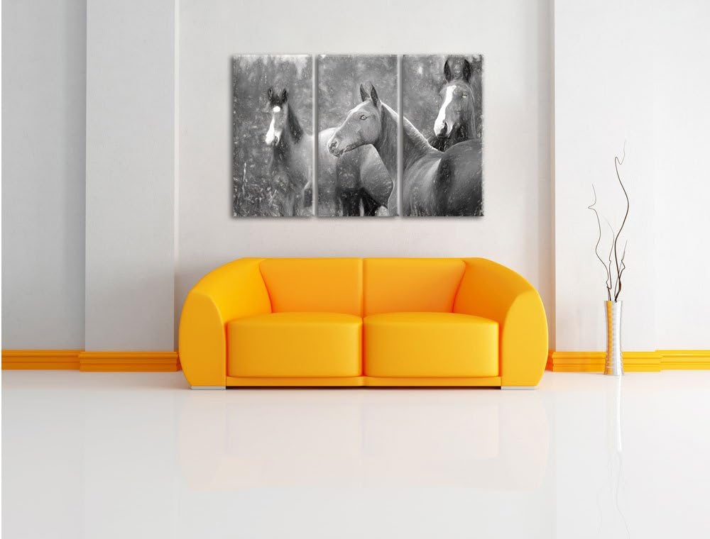 Pixxprint schöne Pferde auf der Wiese Kunst als Leinwandbild/Grösse: 3 Teilig (120x80) cm/Wandbild/K