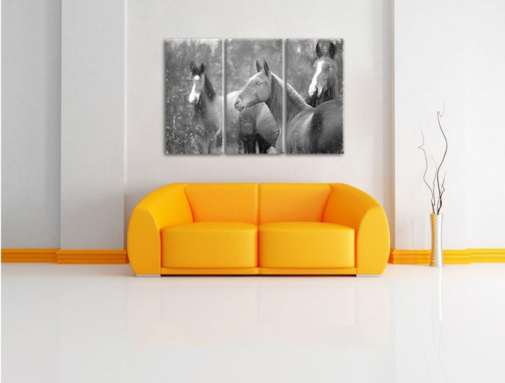 Pixxprint schöne Pferde auf der Wiese Kunst als Leinwandbild/Grösse: 3 Teilig (120x80) cm/Wandbild/K