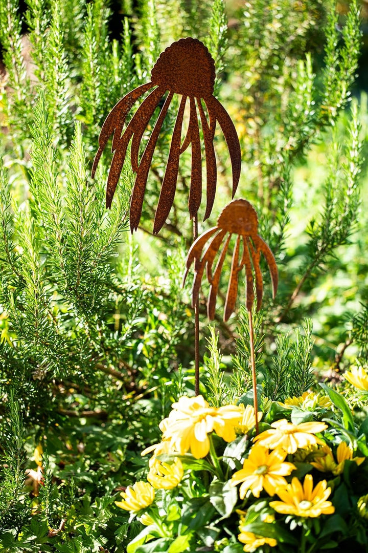 Bornhöft Gartenstecker Sonnenhut Echinacea Beetstecker Topfstecker Metall Rost Gartendeko Edelrost S