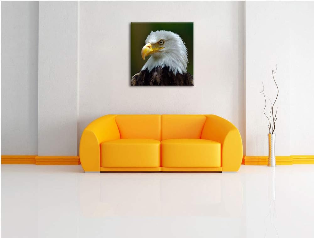 Mächtiger Weisskopfseeadler, Format: 70x70 auf Leinwand, XXL riesige Bilder fertig gerahmt mit Keilr