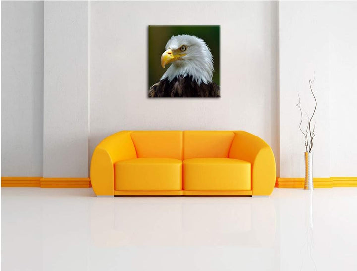 Mächtiger Weisskopfseeadler, Format: 70x70 auf Leinwand, XXL riesige Bilder fertig gerahmt mit Keilr