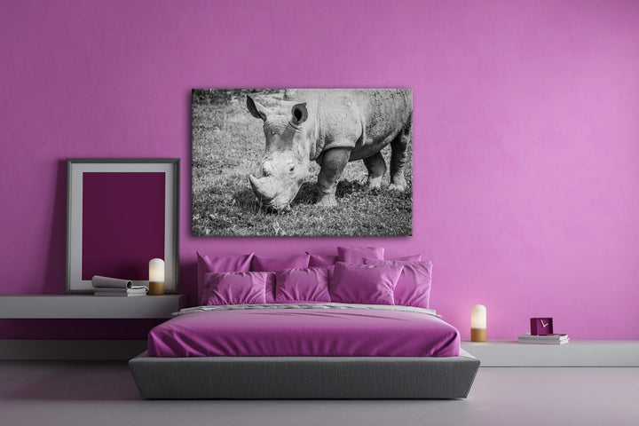 deyoli edles Nashorn Format: 60x40 Effekt: Schwarz/Weiss als Leinwand, Motiv fertig gerahmt auf Echt