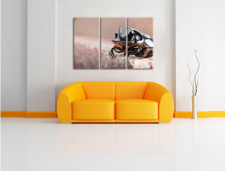 Pixxprint Nashornkäfer Porträt / 3-Teilig/Gesamtmass 120cm Leinwandbild bespannt auf Holzrahmen/Wand