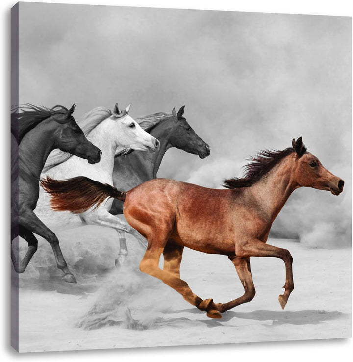 Pixxprint Mustangs in der Wüste als Leinwandbild Quadratisch/Grösse: 70x70 / Wandbild/Kunstdruck/fer