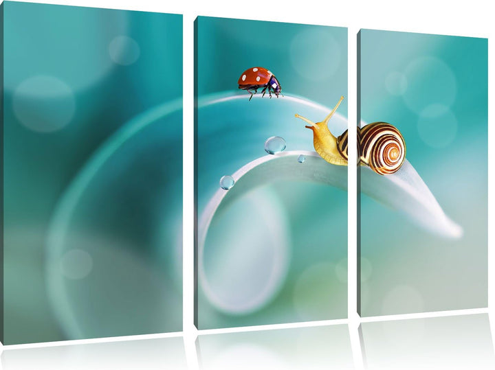 Pixxprint eine Schnecke und Marienkäfer / 3-Teilig/Gesamtmass 120cm Leinwandbild bespannt auf Holzra
