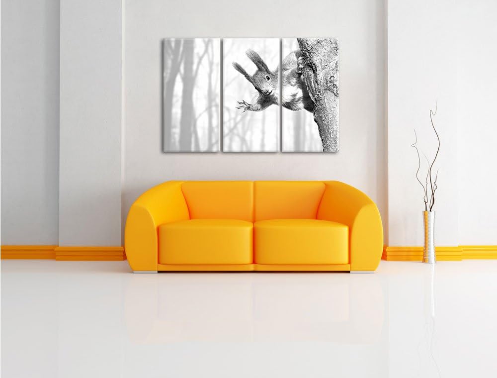 Pixxprint Neugierig rotes Eichhörnchen Kunst B&W 3-Teiler Leinwandbild 120x80 Bild auf Leinwand