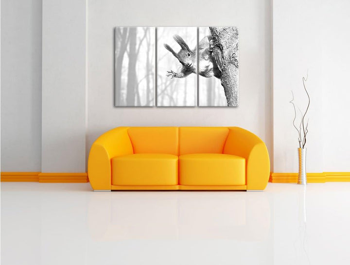 Pixxprint Neugierig rotes Eichhörnchen Kunst B&W 3-Teiler Leinwandbild 120x80 Bild auf Leinwand