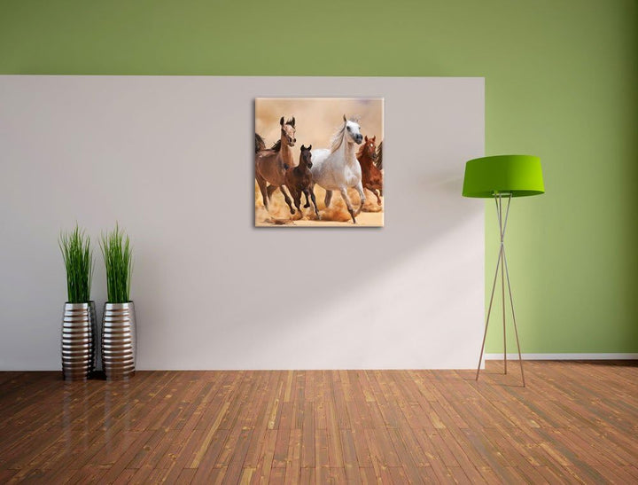 Pixxprint Western Pferde mit Fohlen als Leinwandbild/Grösse: 70x70 cm/Wandbild/Kunstdruck/fertig bes
