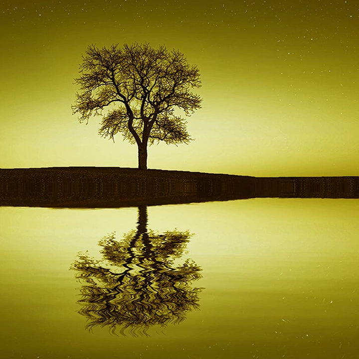 Feeby Bilder Baum 300x140 cm - Leinwandbild 5 Teilig XXL Kunstdruck Abstrakt Wasser gelb Leinwandbil