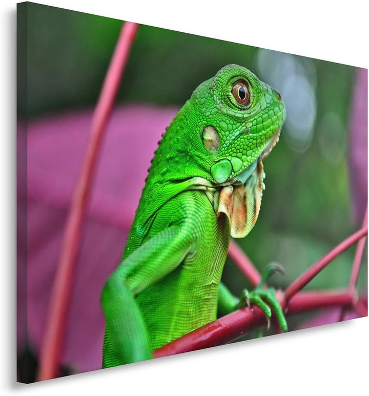 Feeby. Wandbild - 1 Teilig - 60x80 cm, Leinwand Bild Leinwandbilder Bilder Wandbilder Kunstdruck, EI