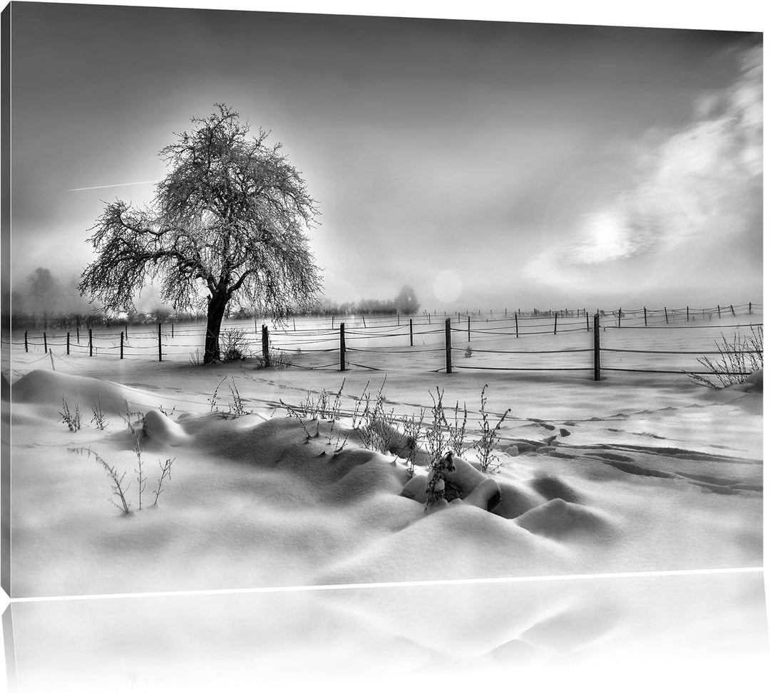 Pixxprint Baum in Winterlandschaft als Leinwandbild/Grösse: 100x70 cm/Wandbild/Kunstdruck/fertig bes