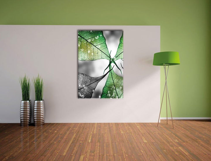 Pixxprint grüne Blätter mit Wassertropfen als Leinwandbild/Grösse: 100x70 cm/Wandbild/Kunstdruck/fer