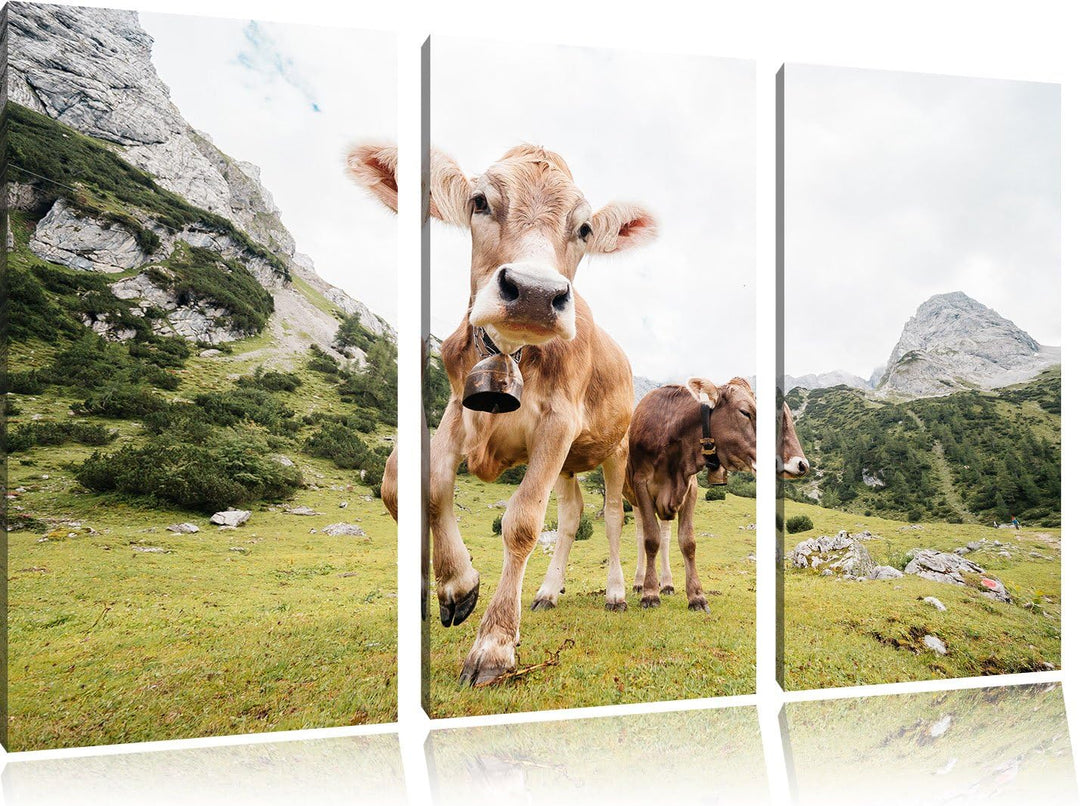 Pixxprint Almkühe Bild 3-Teiler Leinwandbild 120x80 Bild auf Leinwand
