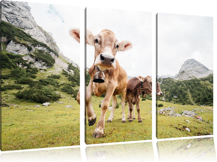 Pixxprint Almkühe Bild 3-Teiler Leinwandbild 120x80 Bild auf Leinwand