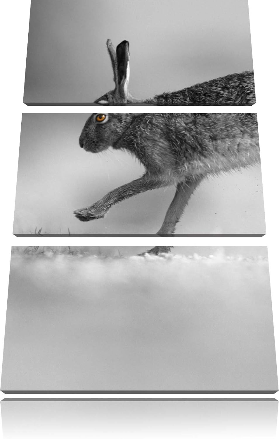 Pixxprint Springender Feldhase schwarz/weiss / 3-Teilig/Gesamtmass 120cm Leinwandbild bespannt auf H