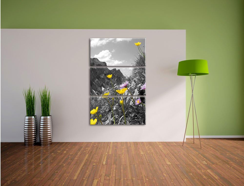 Pixxprint Traumhafte Blumenwiese im Frühling schwarz/weiss 3-Teiler Leinwandbild 120x80 Bild auf Lei