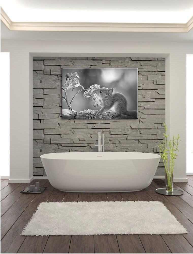 Pixxprint süsses Eichhörnchen riecht an Einer Blume Kunst B&W, Format: 100x70 auf Leinwand, XXL ries