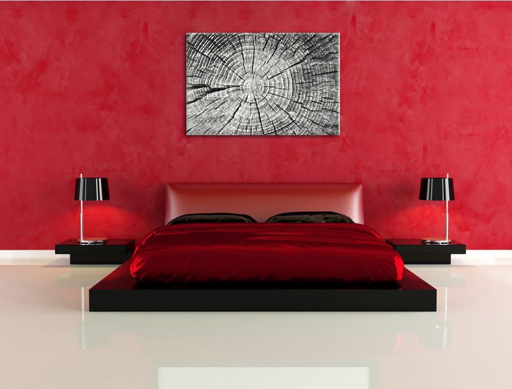Baumstamm mit Jahresringen Deluxe Format: 100x70 cm auf Leinwand, XXL riesige Bilder fertig gerahmt