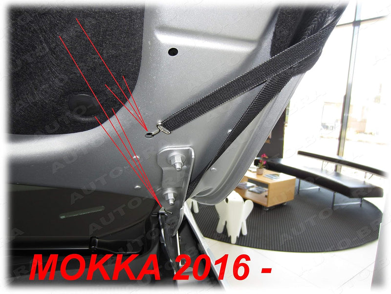 AB3-00161 CARBON OPTIK Auto Bra kompatibel mit Oppel Vauxhall MOKKA X Bj. 2016-2019 Haubenbra Steins