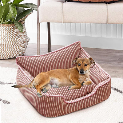 PETCUTE Haustierbett,Waschmaschinenfest Orthopädisches Hundebett Kleine Hunde,rutschfest,Hundebetten