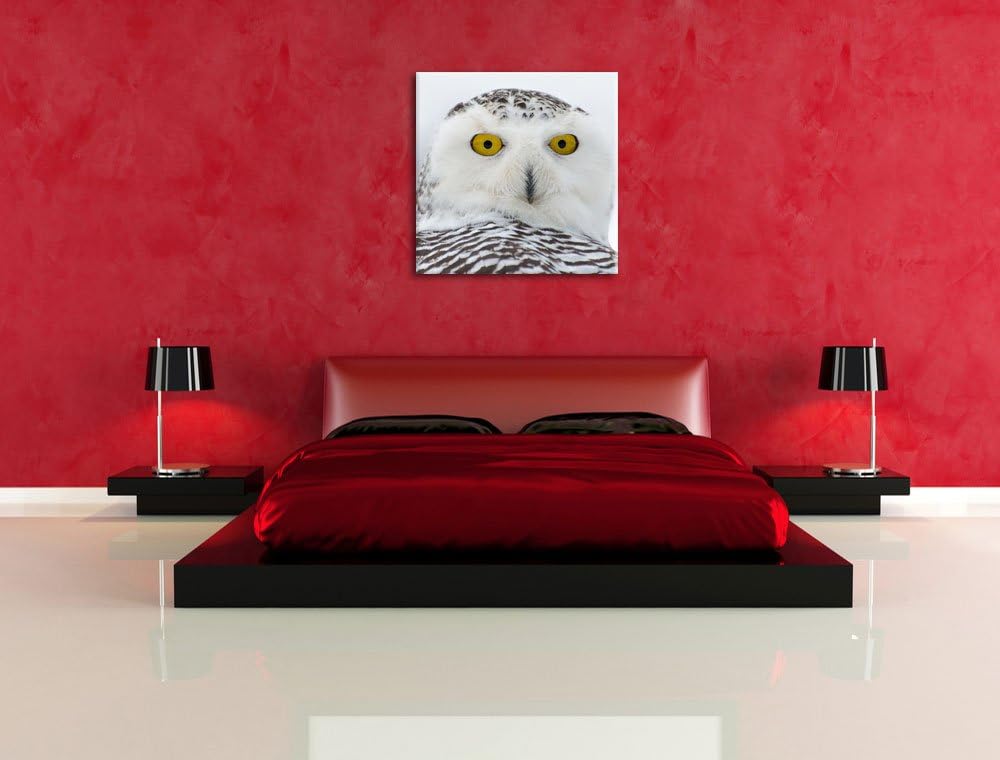 Wachsame Schnee Eule, Format: 70x70 auf Leinwand, XXL riesige Bilder fertig gerahmt mit Keilrahmen,