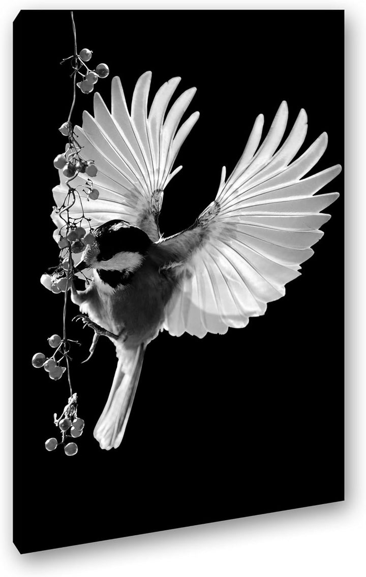deyoli Dark traumhafter Vogel mit ausgestreckten Flügeln Effekt: Schwarz/Weiss Format: 80x60 als Lei