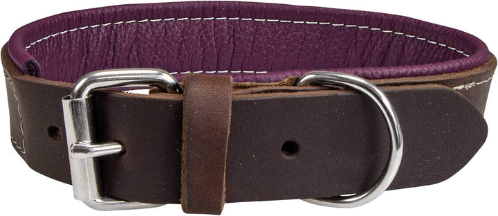 Schecker Moorfeuer Hundehalsband aus Leder Halsumfang ca. 24-32 cm Handgefertigt Handmade Hochwertig
