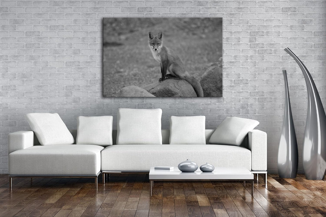 deyoli abwartender Fuchs Effekt: Schwarz/Weiss Format: 80x60 als Leinwandbild, Motiv fertig gerahmt