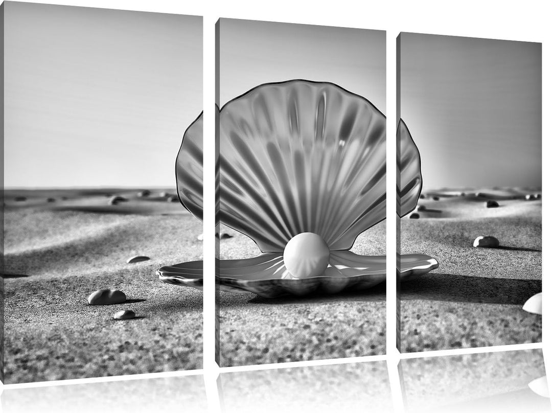 Pixxprint Monocrome, Perlenmuschel am Strand 3-Teiler Leinwandbild 120x80 Bild auf Leinwand