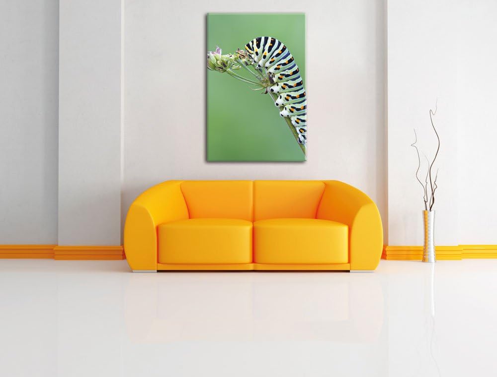 Pixxprint Grüne Raupe auf AST Insekten Urwald Tiere, Format: 100x70 auf Leinwand, 100x70