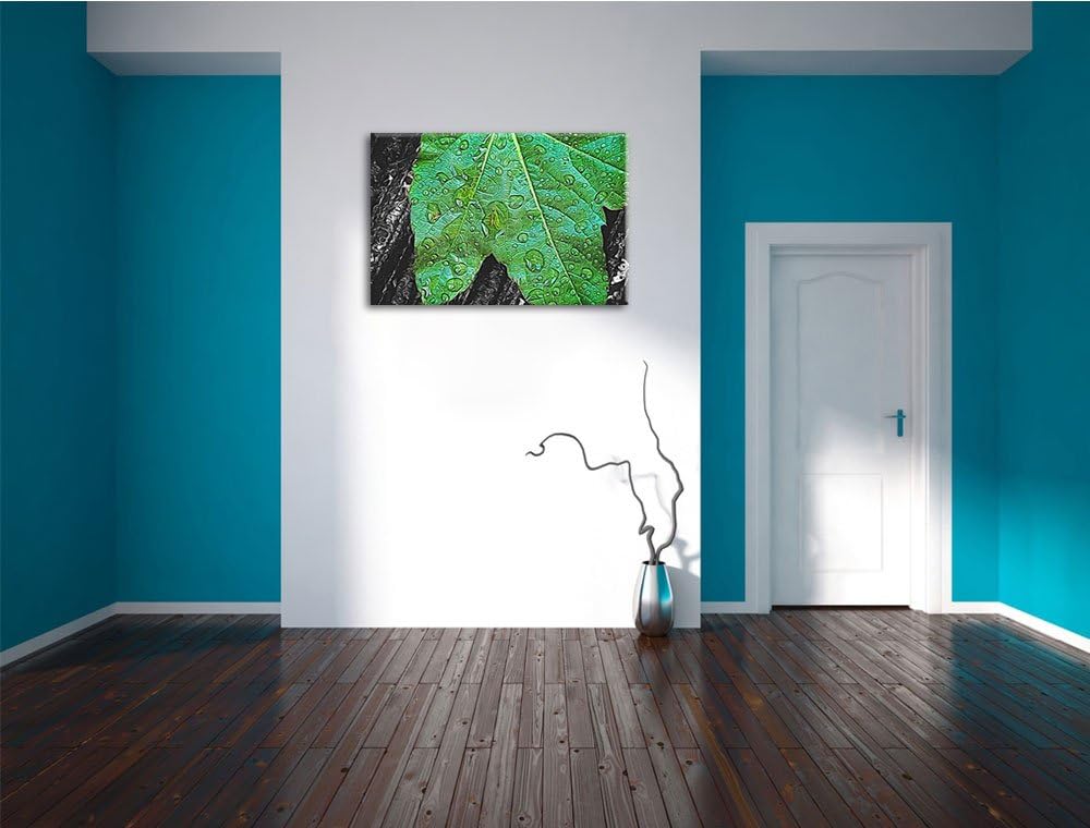 viele kleine Regentropfen auf Blatt schwarz/weiss Deluxe Format: 100x70 cm auf Leinwand, XXL riesige