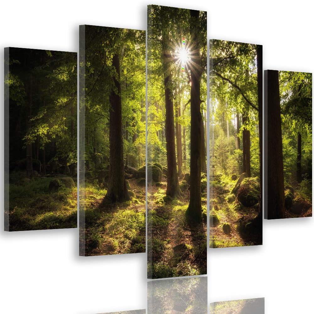 Feeby Bild auf Leinwand Landschaft 5 Teilig Modern Wald Bäume Sonne grün 200x100 cm Leinwandbild 200