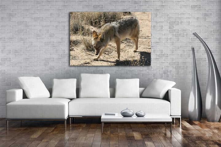 deyoli Fixierter Wolf in Wüstenlandschaft Format: 80x60 als Leinwandbild, Motiv fertig gerahmt auf E
