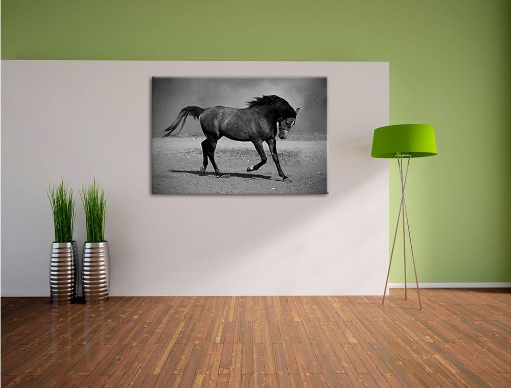 Edler schwarzer Hengst schwarz weiss Format: 100x70 auf Leinwand, XXL riesige Bilder fertig gerahmt