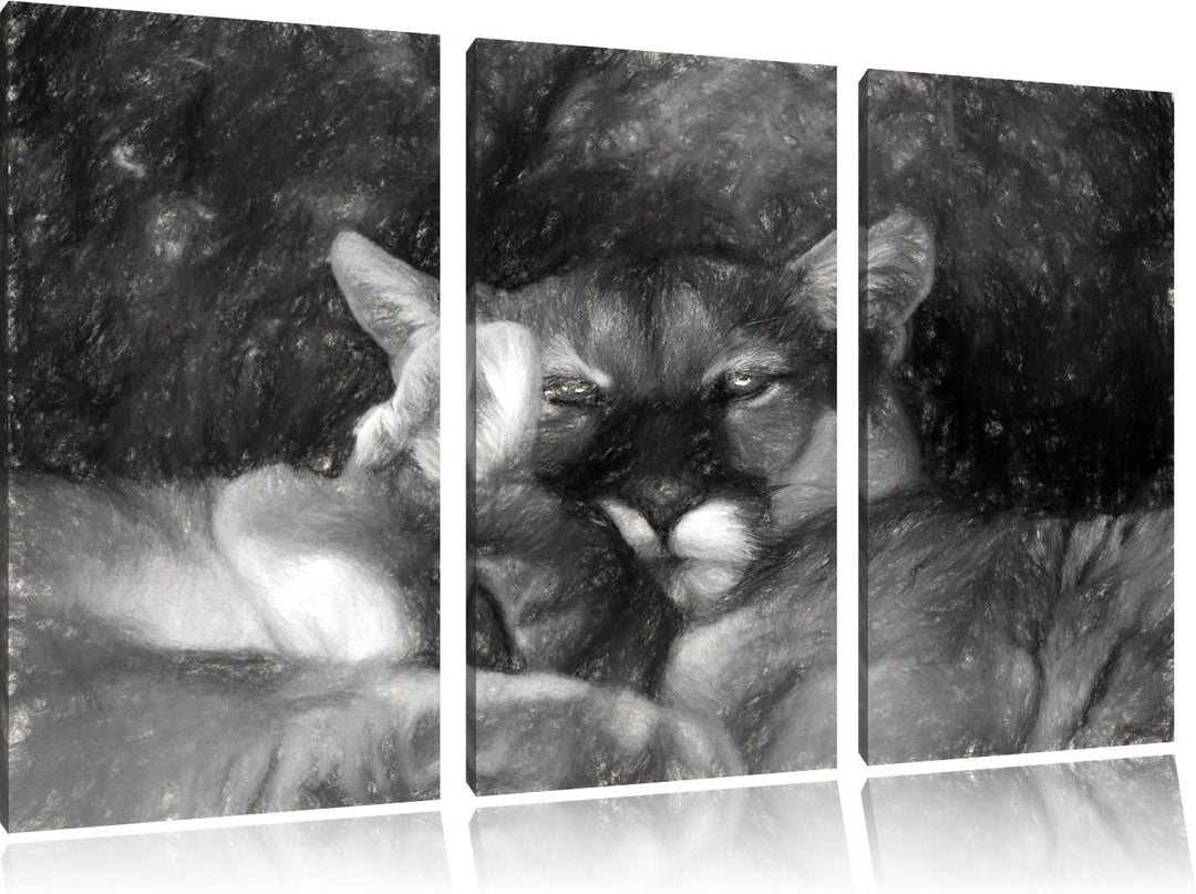 Pixxprint verschlafenes Puma Paar Kunst als Leinwandbild/Grösse: 3 Teilig (120x80) / Wandbild/Kunstd